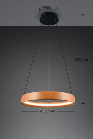 Nowoczesna lampa wisząca LYNWOOD (355030130) - Trio