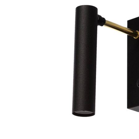 Kinkiet LARS (50717105) - Kaspa