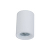 Lampa sufitowa Alfa Maytoni (C012CL-01W)