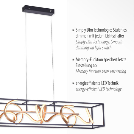 SELINA LAMPA WISZĄCA CZARNY/ZŁOTY (2416-18) - Paul Neuhaus