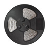 Taśma Led 60/m IP20 6500K (50m) (EKPL627) - Eko-Light