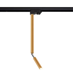 Spot Kosame T R - Złoty - Szynoprzewód 3F 230V   (6068) - Shilo