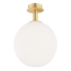 Lampa sufitowa PALOMA (8505-ARG) - Argon