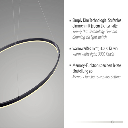 LAMPA WISZĄCA TITUS (2393-13) - Paul Neuhaus