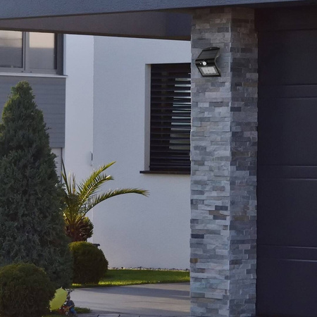 Lampka Solarna Butterfly Czarna 1,5W (EKO3867) - Eko-Light / z czujnikiem ruchu i zmierzchu