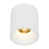 Lampa przysufitowa BLAZE WHITE CCT 12W (18157) - TK Lighting