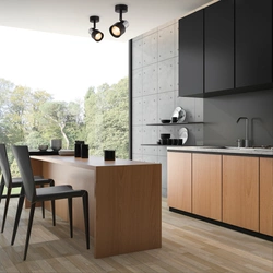 Lampa sufitowa Cino Spot 1 czarna (ML9945) - Milagro