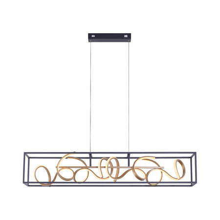 SELINA LAMPA WISZĄCA CZARNY/ZŁOTY (2416-18) - Paul Neuhaus