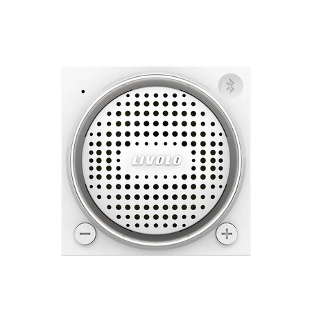 WBS-61 Moduł biały głośnika bluetooth Livolo
