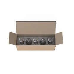 Żarówka BULB LED E27, A60 2W, 5 PC SET (7487) - Nowodvorski