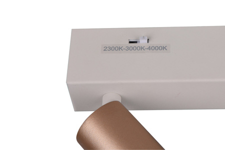 Lampa sufitowa z reflektorami AMBALA (849210165) - Trio