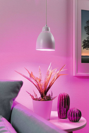 Neordic Hilla lampa wisząca max. 1x40W E27 biały 230V metal (PL79764) - PAULMANN