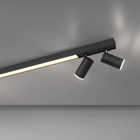 Lampa sufitowa PURE-LINES (6121-13) - Paul Neuhaus