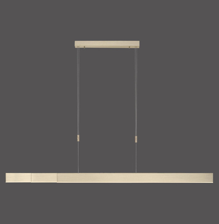 PURE-MOTO LAMPA WISZĄCA MATOWY MOSIĄDZ (2525-60) - Paul Neuhaus