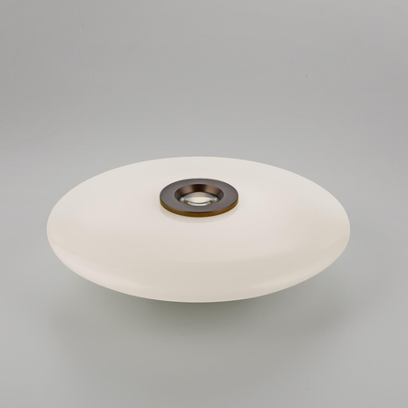 Ściemnialna lampa na sufit PURE VITRUM CIEMNOMETALOWO-BRĄZOWY (6083-34) - Paul Neuhaus