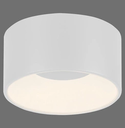 TANIKA LAMPA SUFITOWA BIAŁY (14325-16) - Paul Neuhaus