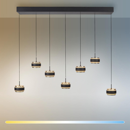 Lampa na pilota, z regulacją światła i wysokości PURE FALLING RINGS  CZARNA (2505-18) - Paul Neuhaus