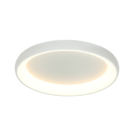 CEILING LIGHT 60W 3000K ALUMINUM & ACRYLIC DIMMABLE SANDY WHITE (2057 Zambelis) - Zambelis