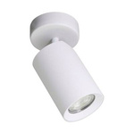 Lampa sufitowa TORE biała (TLS006-WH) -  Zuma Line