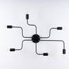 Żyrandol VECTOR 6 czarny (SL.1447) - Sollux Lighting