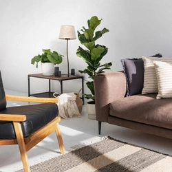 Lampa stołowa NICOLA BROWN 1 S (16027) - TK Lighting