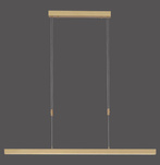 ADRIANA LAMPA WISZĄCA MATOWY MOSIĄDZ (2568-60) - Paul Neuhaus