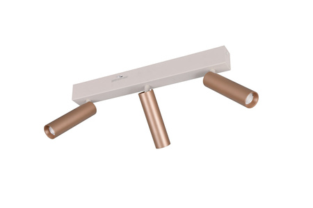 Lampa sufitowa z reflektorami AMBALA (849210365) - Trio