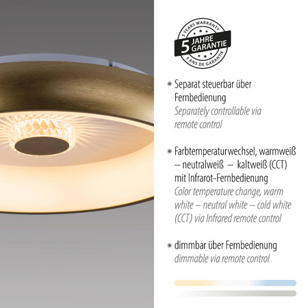 Plafon VERTIGO ceiling light brass matt body (14384-60) - Paul Neuhaus