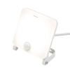 Naświetlacz LED Strongbeam 30W IP65 z czujnikiem ruchu i zmierzchu PIR barwa naturalna (BLAUPUNKT-NLS30NW)