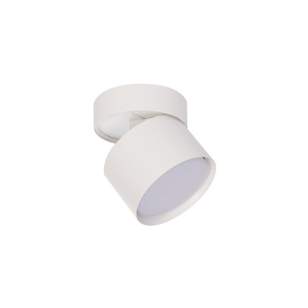 Kendal oprawa natynkowa biała z regulacją kąta świecenia (LP-6331/1SM WH movable) - Light Prestige