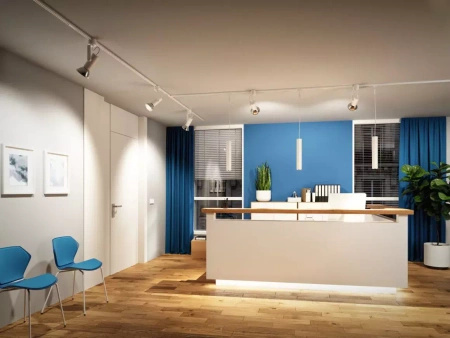 URail Spot Apol II max 1x50W E27 biały 230V metal/plastik (PL96981) - Paulmann