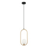 Lampa Wisząca Lupus (PND-3965-1-BRO) - Italux