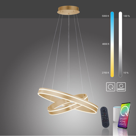Q-VITO LAMPA WISZĄCA MATOWY MOSIĄDZ (8420-60) - Paul Neuhaus