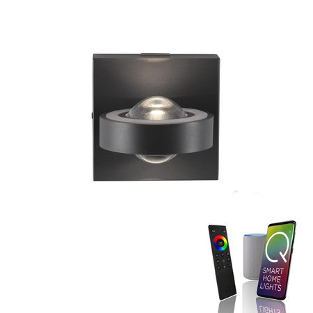 Q-MIA KINKIET ANTRACYT (9185-13) - Paul Neuhaus