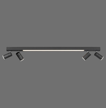 Lampa sufitowa PURE-LINES (6121-13) - Paul Neuhaus