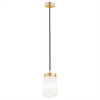 Lampa wisząca 1 pł. PASADENA (8004) - Argon