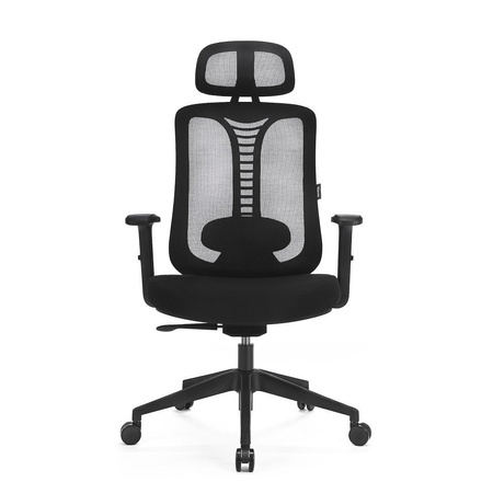 Ergonomiczny fotel z regulacją Ergo Essential (LV0653) - LVN SYSTEM