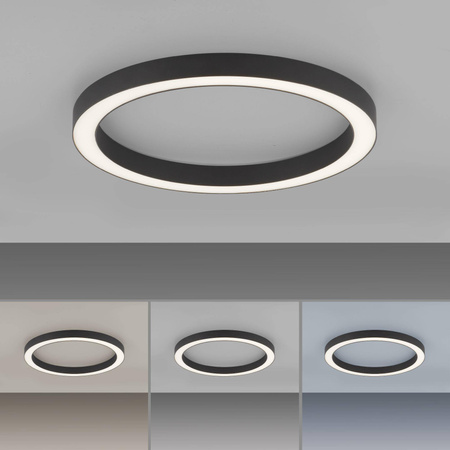 Lampa sufitowa PURE-LINES (6309-13) - Paul Neuhaus