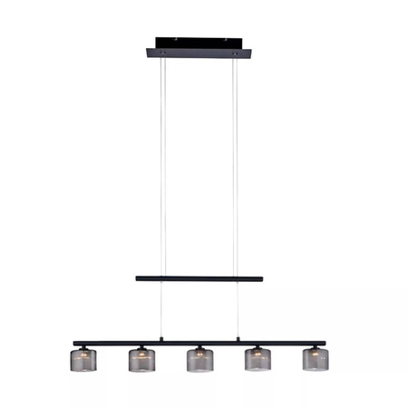 Lampa wisząca HYDRA (2209-18) - Paul Neuhaus