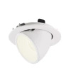 NUMINOS® GIMBLE L, oprawa sufitowa wpuszczana biała 2700 K 55° (1005991) - SLV