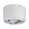 Argun Oprawa sufitowa LED 1x4,8W Biały Matowy / Aluminium Szczotkowane (PL79708) - PAULMANN