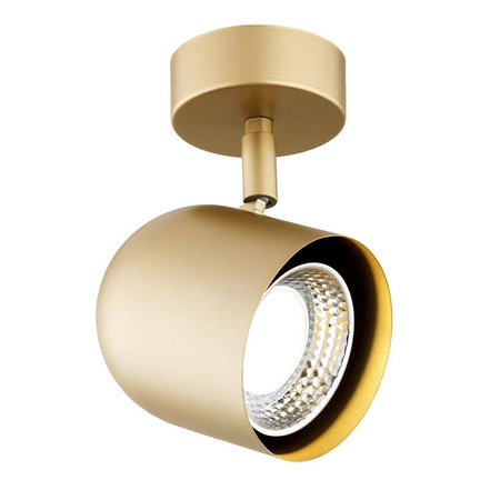 Kinkiet/ Lampa sufitowa ISOLA (8260) - Argon