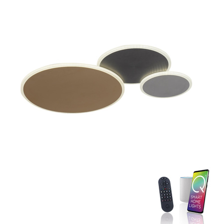 Q-PIATO LAMPA SUFITOWA/KINKIET MULTIKOLOR (8007-70) - Paul Neuhaus