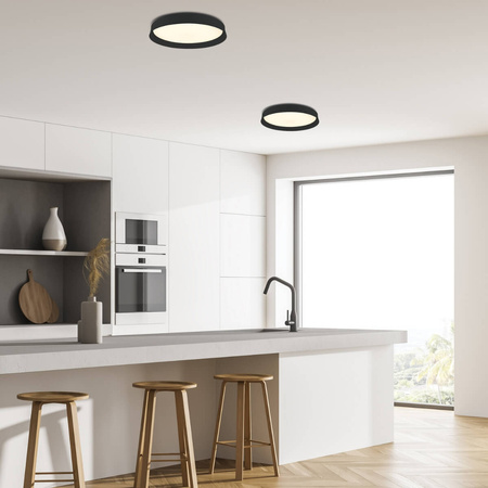 CEILING LIGHT 20W 3000K BLACK (22128 Zambelis) - Zambelis