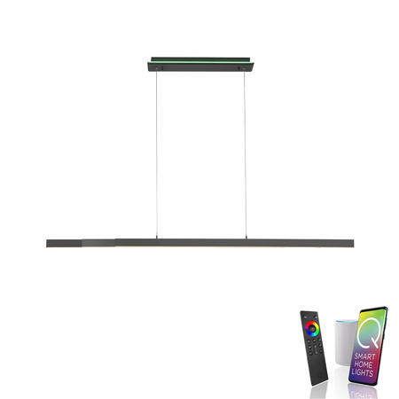 Q-ARIAN LAMPA WISZĄCA ANTRACYT (2569-13) - Paul Neuhaus