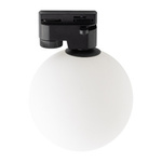 Lampa do szynoprzewodu TRACER BLACK G_9 (4923) - TK Lighting
