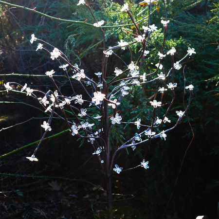 Lampa Solarna Tree 120cm RGB+3000K IP44 (EKO1448) - Eko-Light