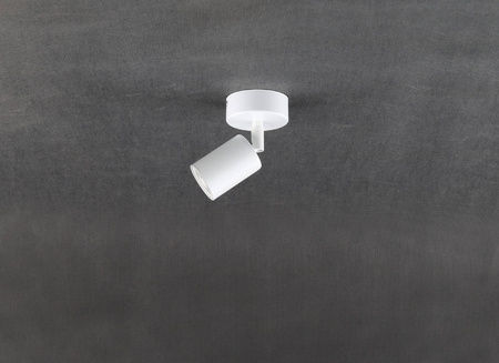 Lampa sufitowa TOP WHITE 1 (6197) - TK Lighting