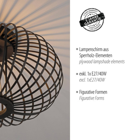 Lampa sufitowa RACOON CZARNA (11410-18) - Paul Neuhaus