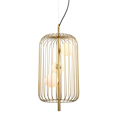 Lampa Wisząca Hayden (MDM-3934/3 GD) - Italux